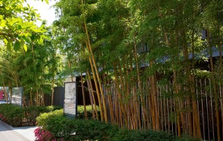 青山 根津美術館